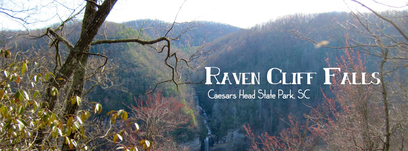 South Carolina Hiking in Caesars Head State Park with Raven Cliff Falls
