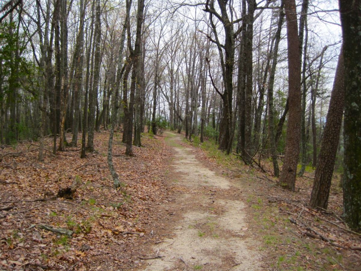 Black Jack Stone Mountain NC