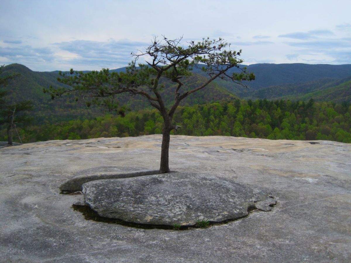 Wolf Rock Stone Mountain NC