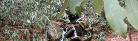 Florence Nature Preserve waterfall