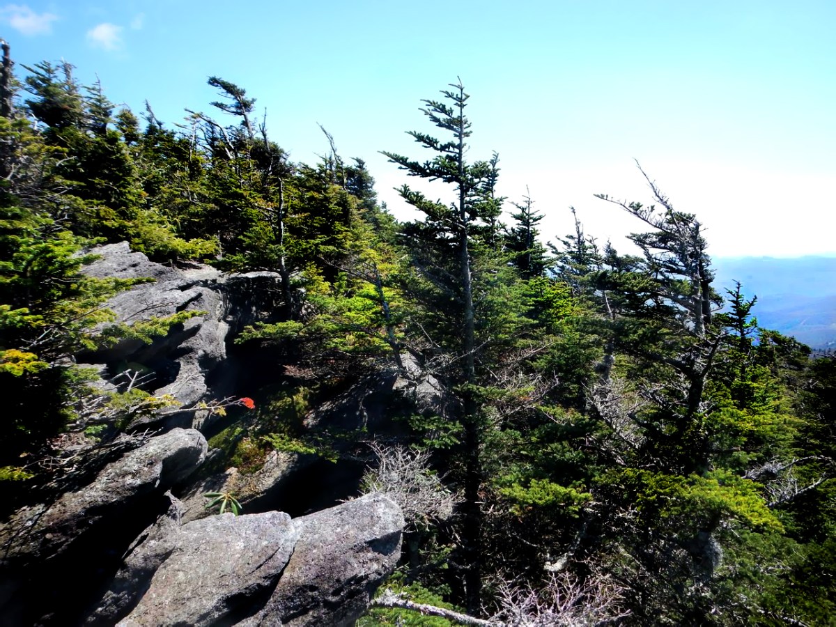 Calloway Peak, Blue Ridge Parkway
