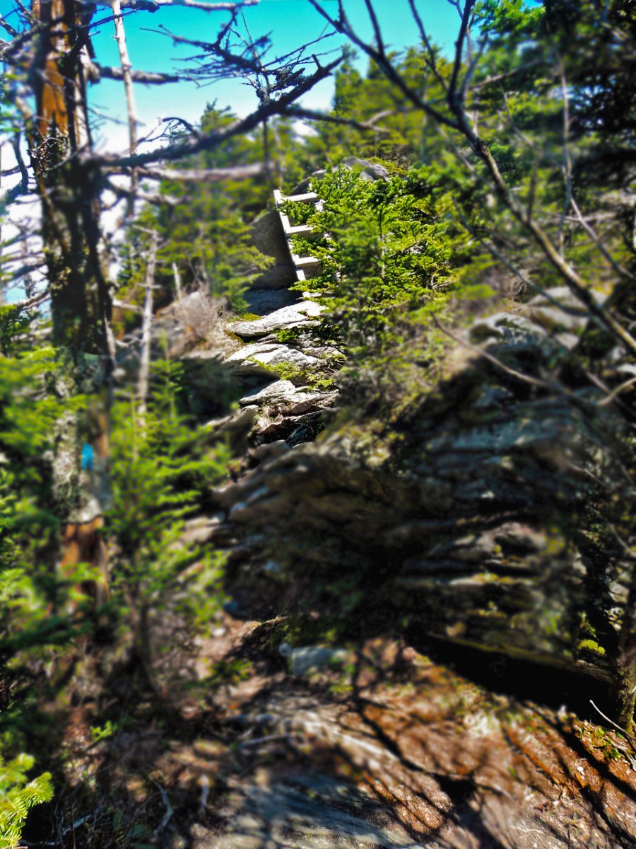Calloway Peak, Blue Ridge Parkway
