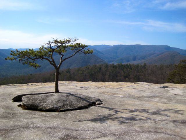 Wolf Rock at Stone Mountain, NC
