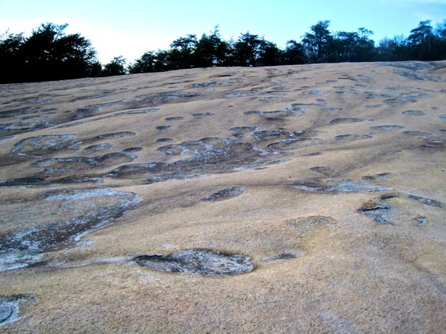 Cedar Rock at Stone Mountain, NC