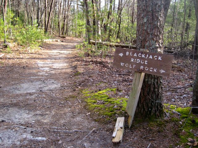 Hiking Stone Mountain, NC
