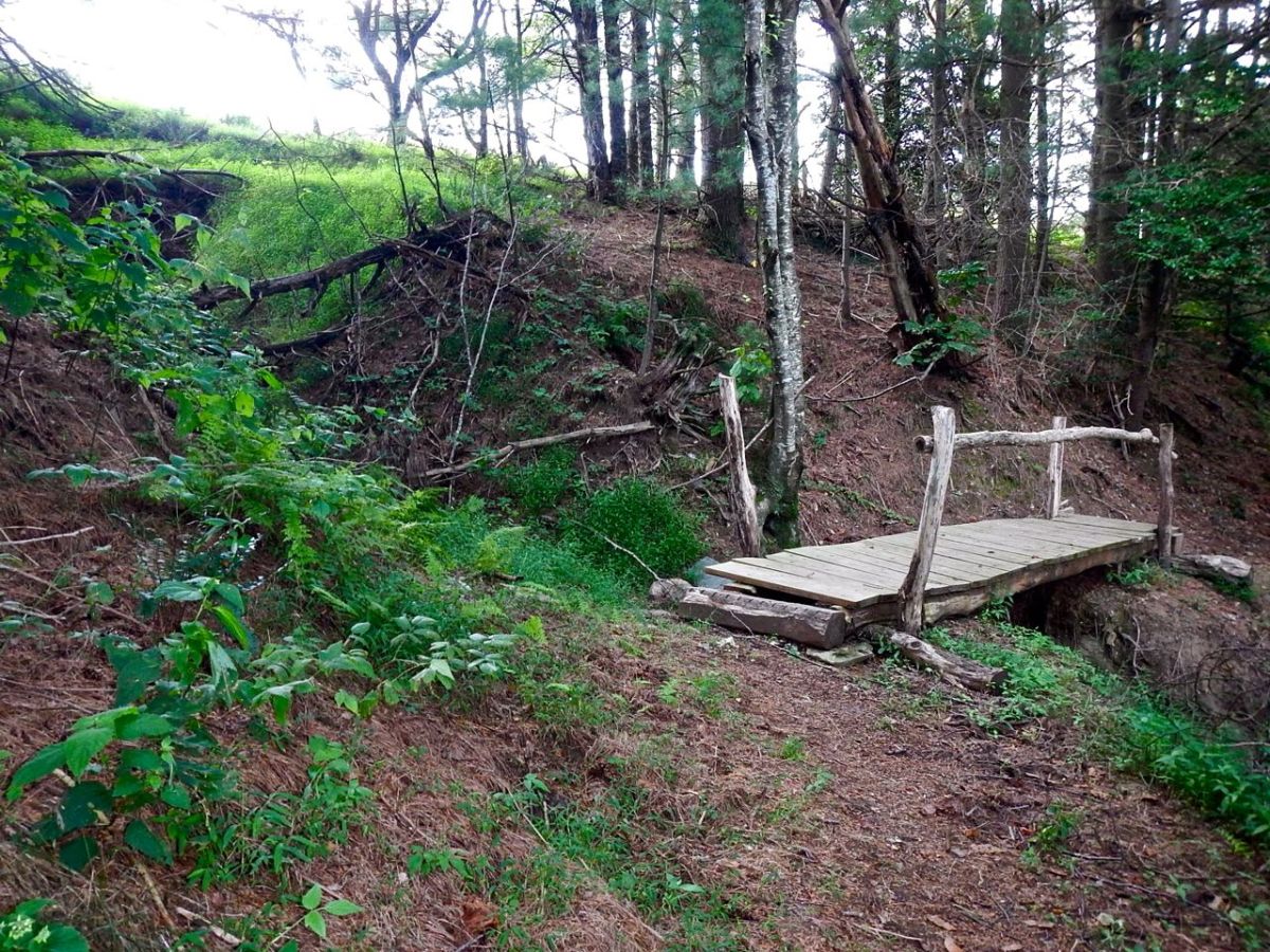 Doughton Recreation Area hiking