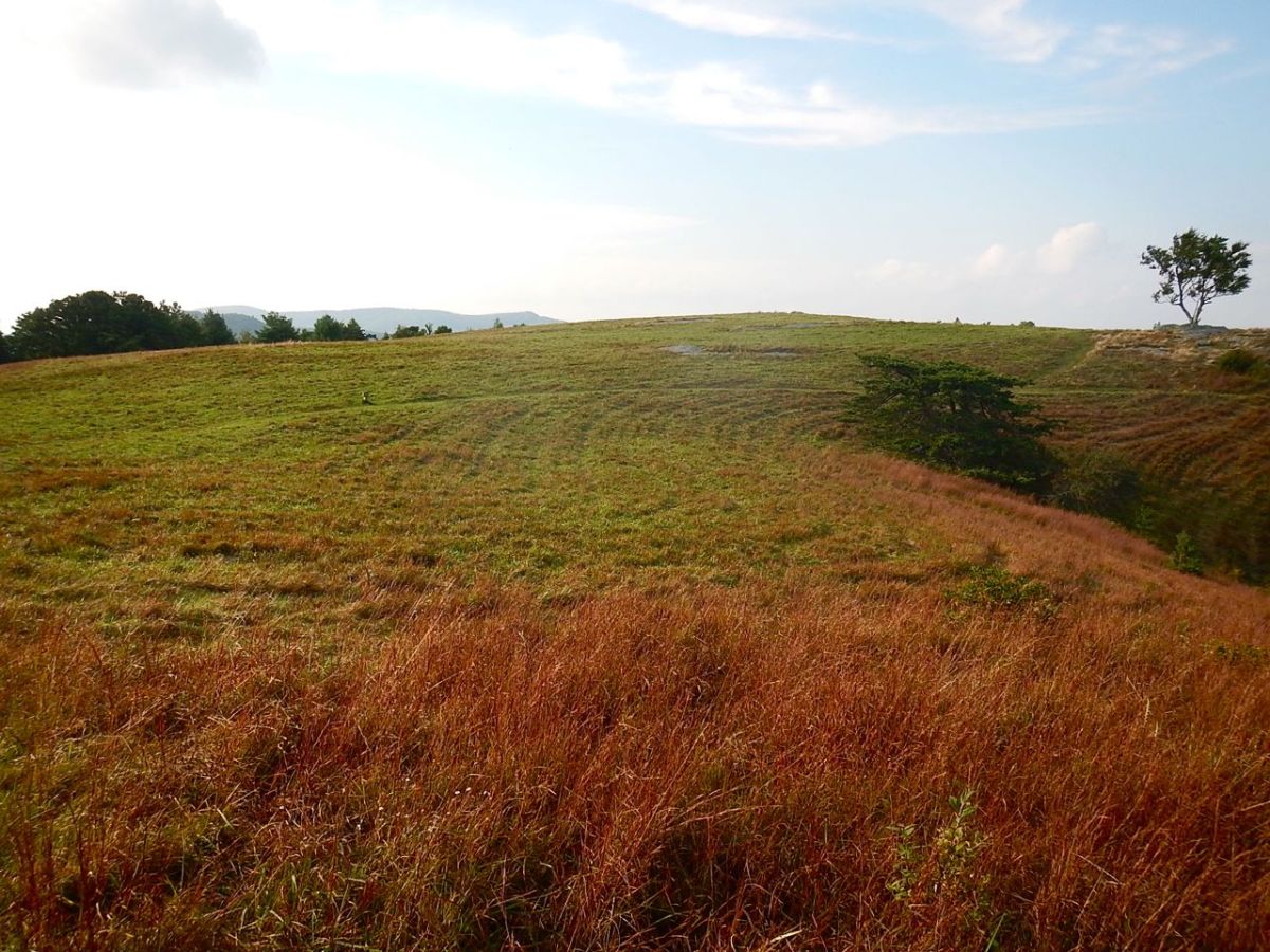 Doughton Recreation Area late-summer colors