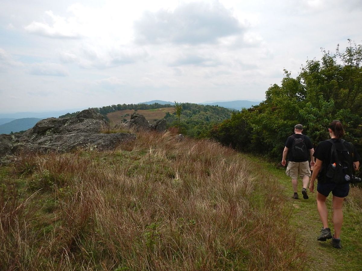 Bluff Mountain Trail hiking