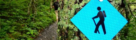 Hiking Summit Trail at Elk Knob State Park