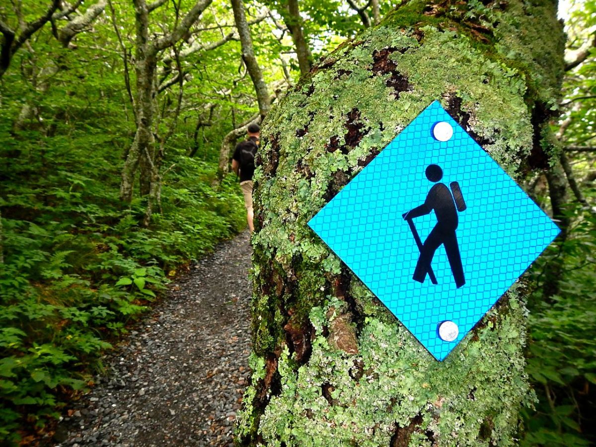 Hiking Summit Trail at Elk Knob State Park