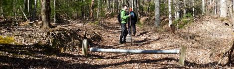Widow's Creek trailhead