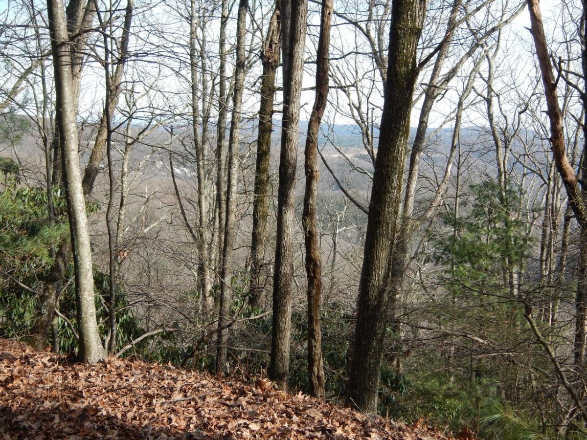 Stone Mountain view MST