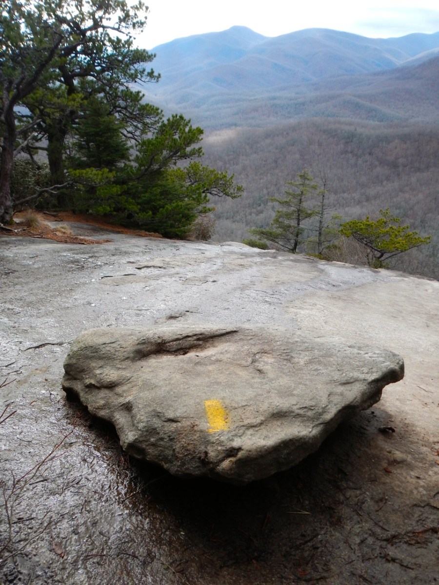 Looking Glass Rock trail blaze