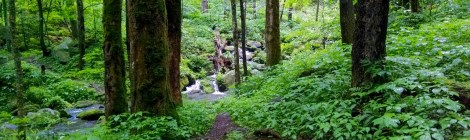 Gabes Mountain Trail Campground 34